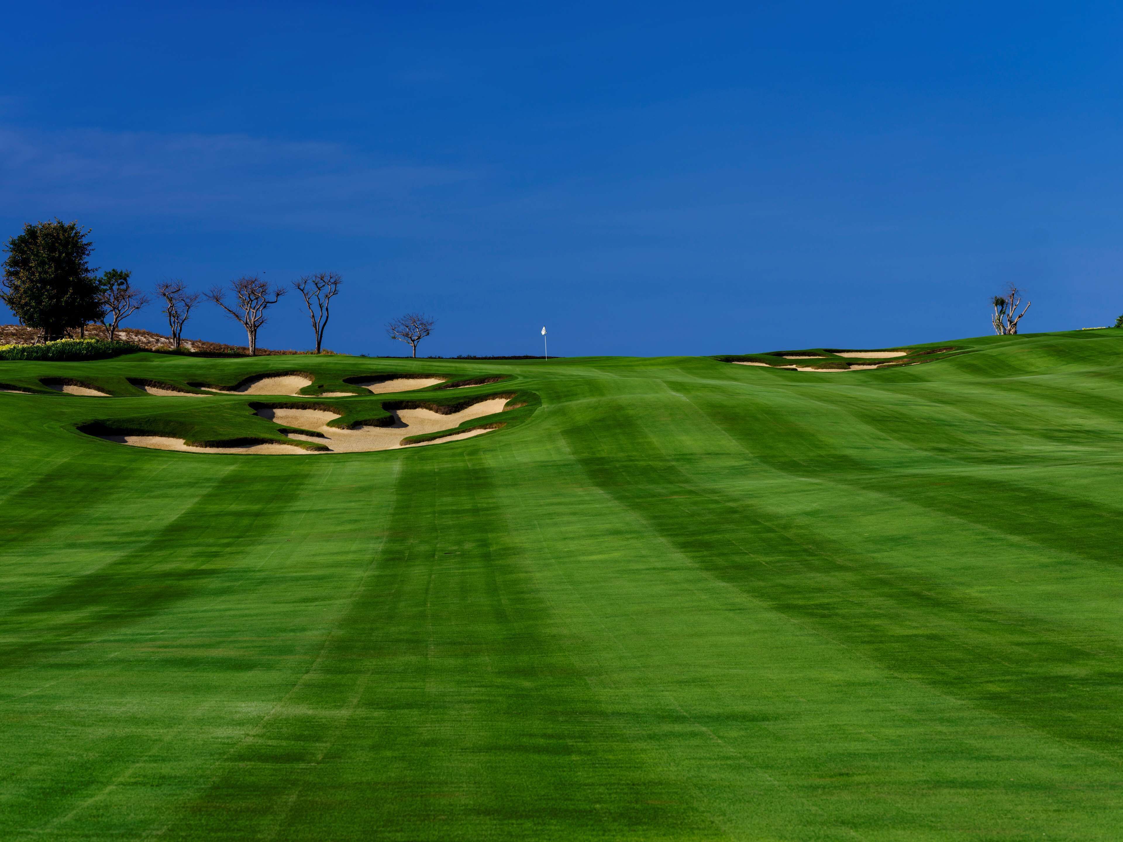 A golf course with well-manicured grass, sand bunkers, and a clear blue sky.