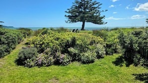 Un gran árbol de coníferas en un jardín cuidado, con vista despejada al océano.