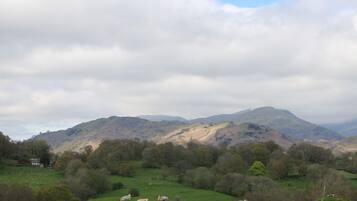 Ländliche Landschaft mit weidenden Schafen, sanften Hügeln und einem Haus in der Ferne.