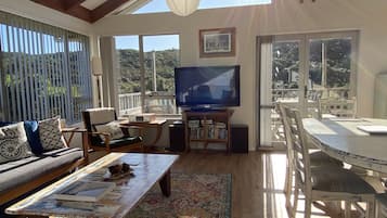 Smart-tv, een open haard, een dvd-speler en boeken