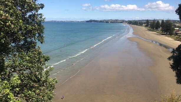 Una playa con agua cristalina, una orilla arenosa y algunos árboles.