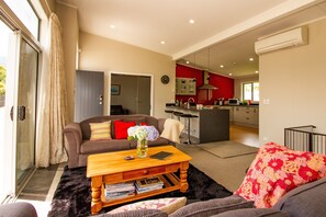 Smart TV, fireplace, books