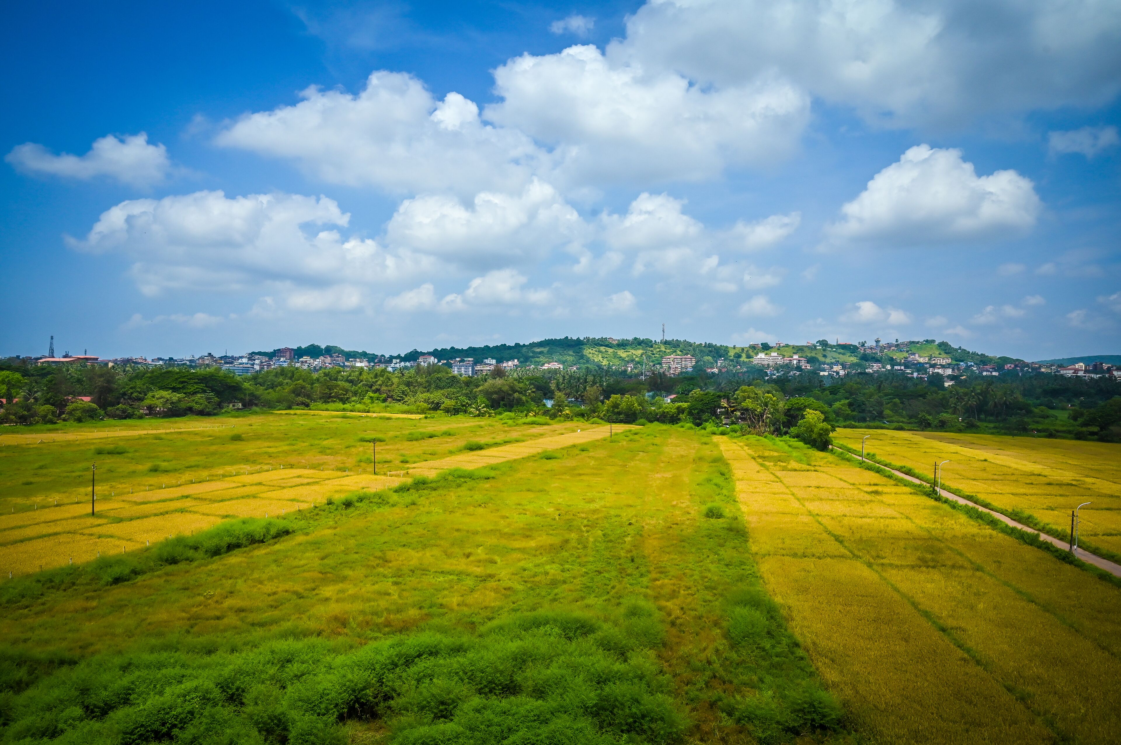 Uma vista panorâmica de uma paisagem verde com campos e uma cidade ao longe.