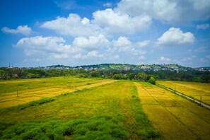 A panoramic view of a green landscape with fields and a distant town.