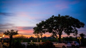 A sunset view with a large tree and parked cars in a parking lot. - Hotel Laxmi Empire (Margao)