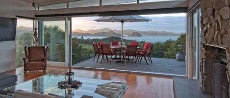 Televisión, chimenea, reproductor de DVD y libros