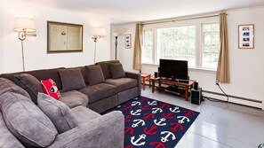 TV connectée, cheminée, lecteur de DVD, livres