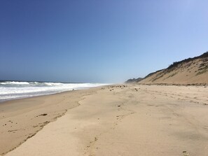 Plage à proximité, chaises longues, serviettes de plage