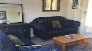 Smart TV, video games, DVD player, books