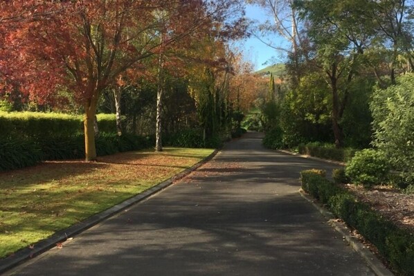 A tree-lined street with a paved road, trimmed hedges, and a clear sky. - Ambury House - private garden resort with views (Havelock North)