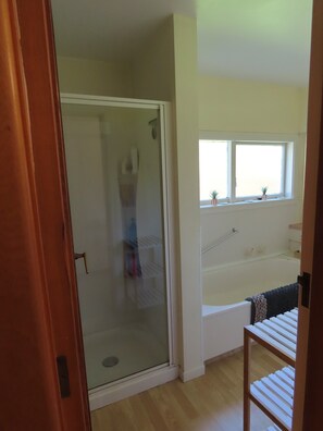 Bathtub, hair dryer, towels, soap