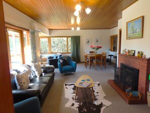 TV, fireplace, books