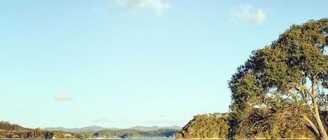 Plage à proximité, chaises longues, serviettes de plage
