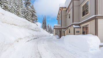 A snow-covered road leading to a building with multiple windows and a snow-covered roof.
