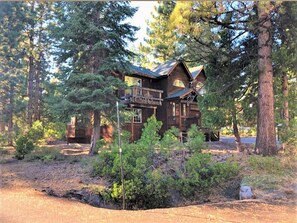 A rustic cabin surrounded by tall pine trees.