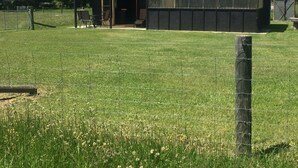 A small, single-story building with a door and windows, surrounded by a fenced area with grass and wildflowers. - Riverside Retreat   (Waimakariri District)
