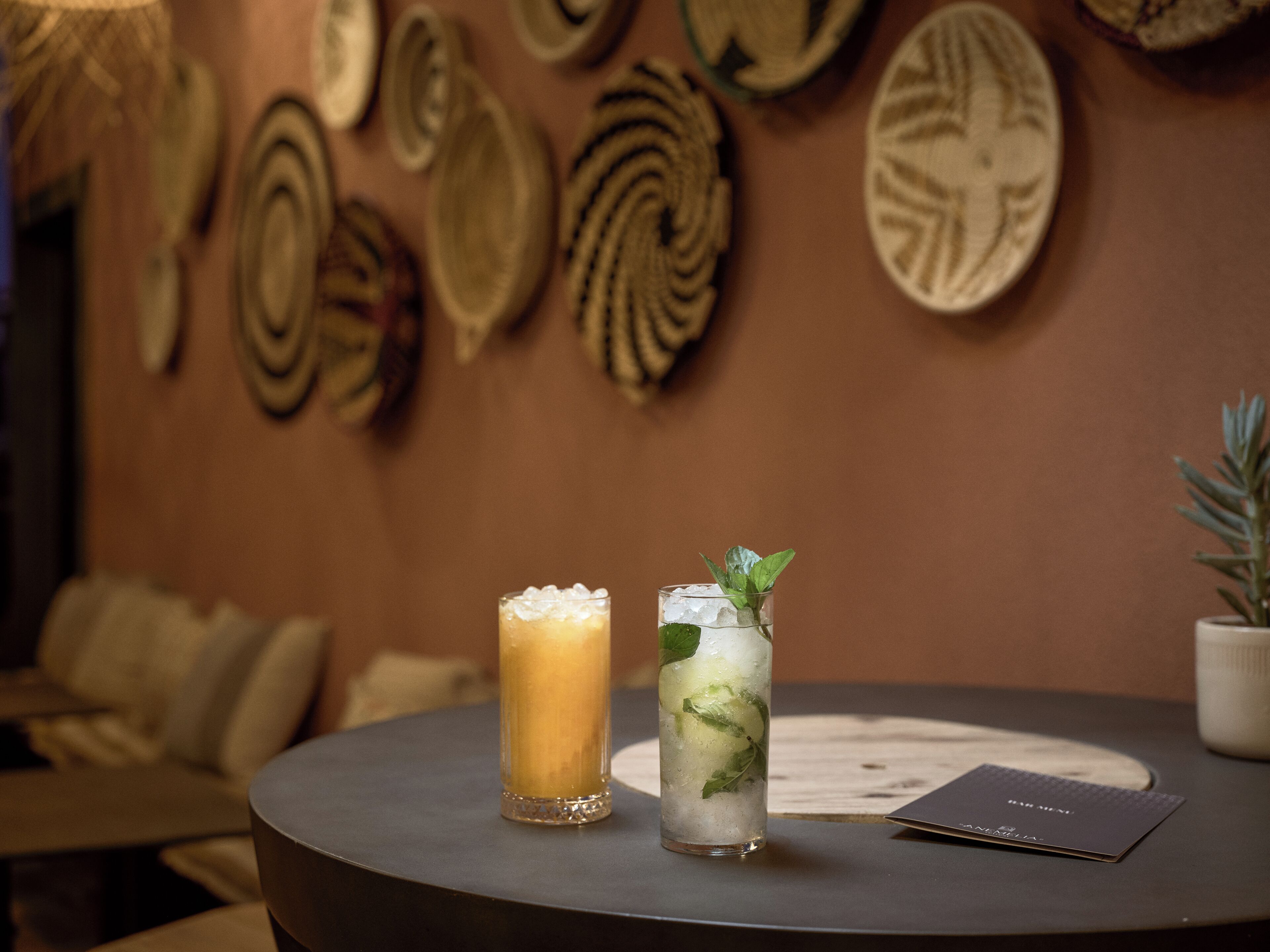 Foto - Anemelia Retreat - Explore & Recharge