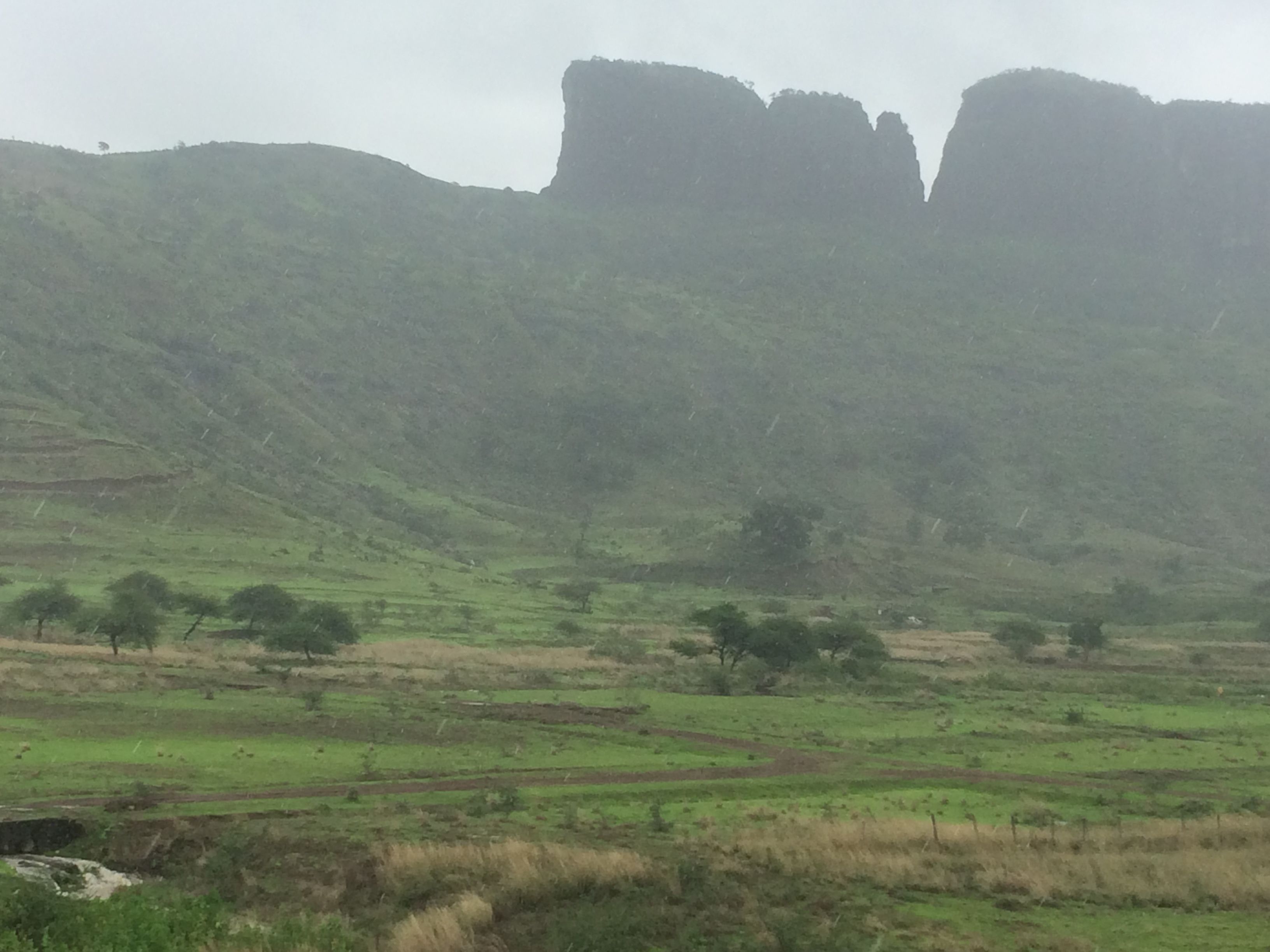 Land view from property