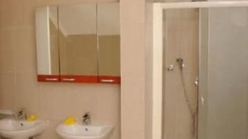 Shower, towels, toilet paper