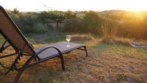 A reclining chair with a glass of wine on a grassy area with a view of hills and vegetation. - Waitarere retreat - on the dunes, panoramic sea views, minutes to the sand (Waitarere Beach)