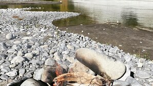 Riva di fiume con un litorale roccioso e un pendio boscoso sullo sfondo.