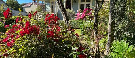 تفاصيل الفندق من الخارج