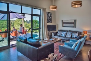 Smart TV, chimenea, reproductor de DVD, libros