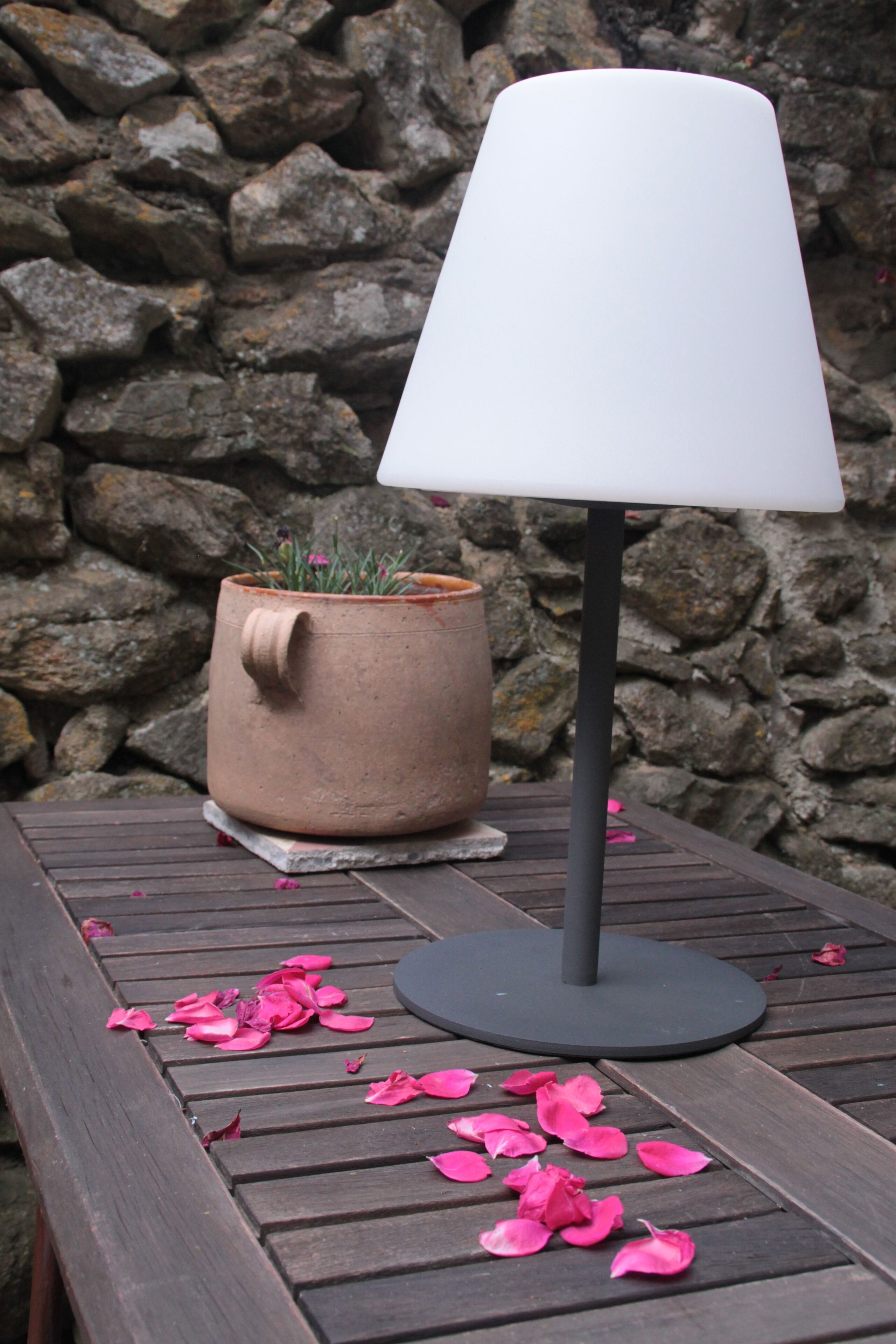 Une table sur laquelle se trouvent une lampe blanche, une plante en pot et des pétales de rose éparpillés.