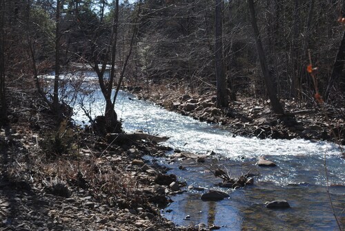Beautiful secluded cottage with gated privacy.