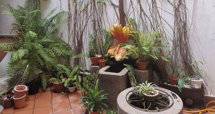 River View Guest House Melaka - Hostel