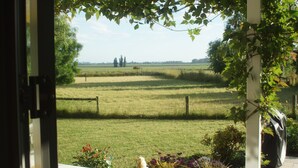 A view from a window overlooking a grassy field with a wooden fence and some trees in the distance.