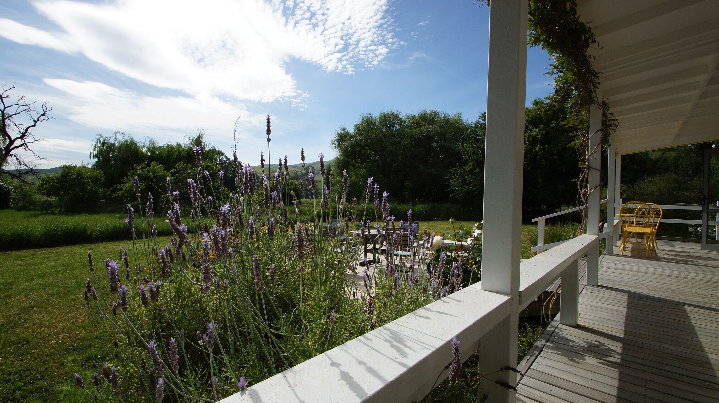 A wooden deck with a white railing, overlooking a garden with purple flowers and a bench.