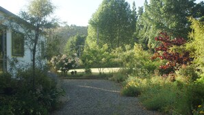 A gravel path leading to a building surrounded by lush greenery and trees.