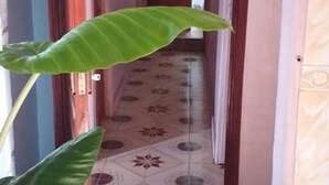 A narrow hallway with patterned floor tiles and a large green plant in the foreground.