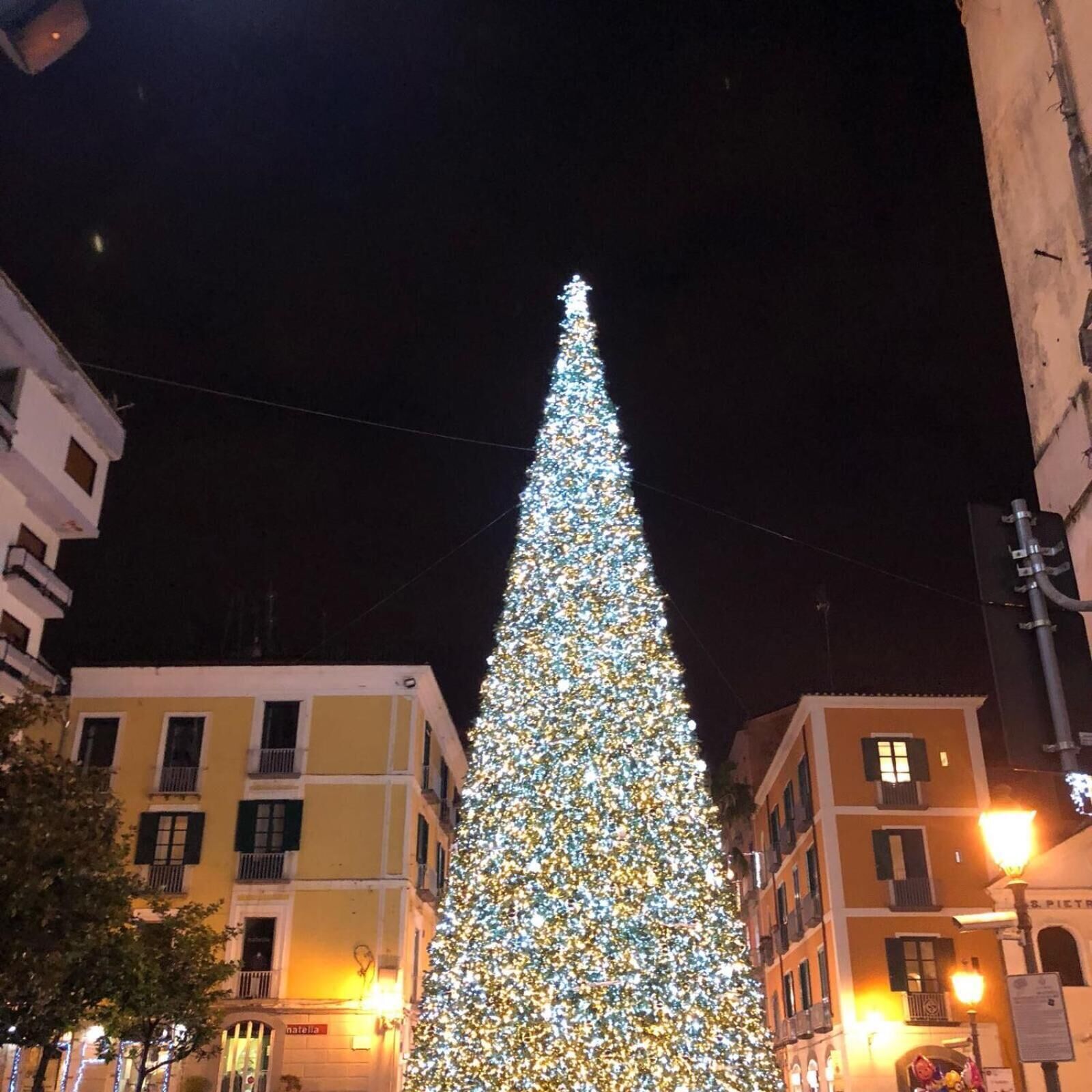 A tall, illuminated Christmas tree in an urban setting.