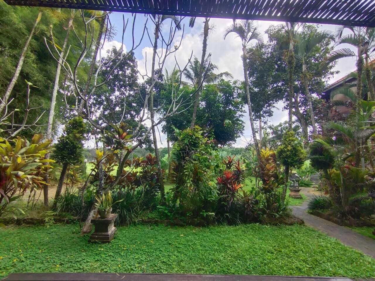 A lush garden with a variety of tropical plants and trees, a paved pathway, and a stone bench.