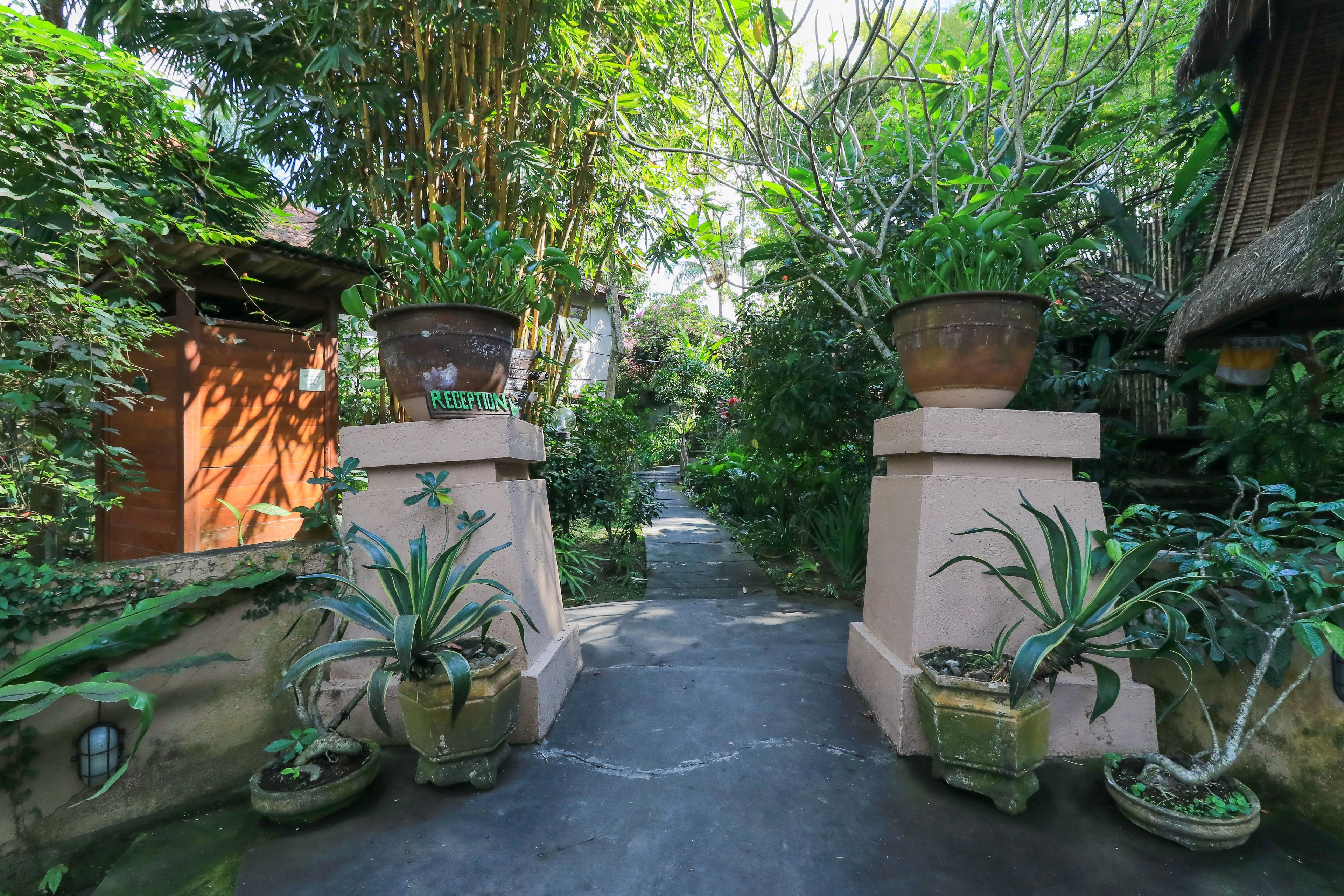Front of property