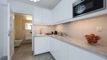 Frigorífic, microones, placa de cuina i rentaplats