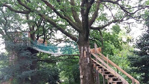 A wooden staircase leading up to a treehouse with a rope bridge.