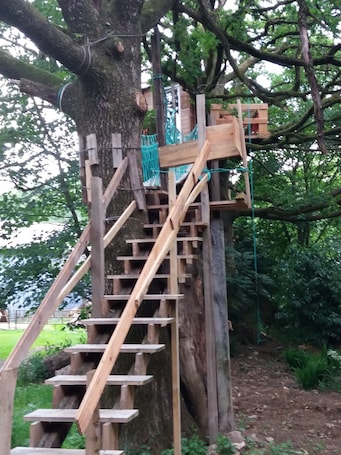 Staircase. Cabane Dans Les Arbres - Le Nid Dans Le Chêne