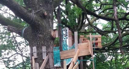 Cabane Dans Les Arbres - Le Nid Dans Le Chêne