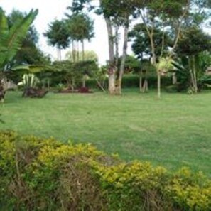 Jardín