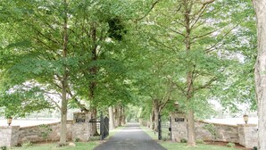 A pathway flanked by stone walls and trees leading to a gated entrance. - Gorgeous Estate set in beautiful Lancaster County  (Bird in Hand)