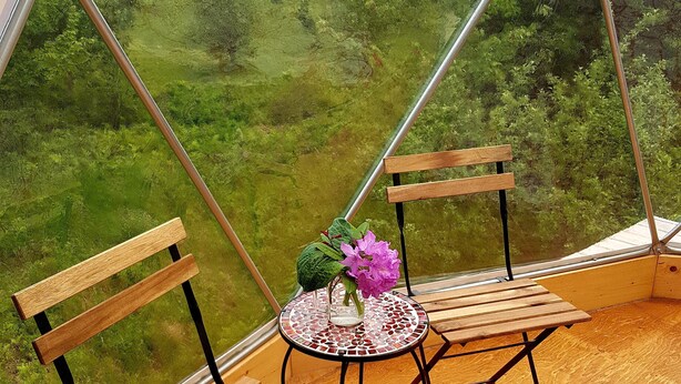 Una habitación con dos sillas de madera y una mesita, un florero con flores, y vista a un paisaje verde a través de un techo de cristal.