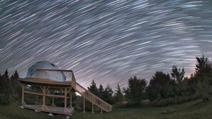 Una pasarela de madera con un telescopio, rodeada de árboles, bajo un cielo estrellado.