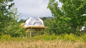 Una estructura de domo geodésico con base de madera, rodeada de abundante vegetación y árboles.