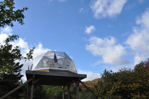 Property grounds - Blue Heron Dome at Cabot Shores Wilderness Resort (Englishtown)