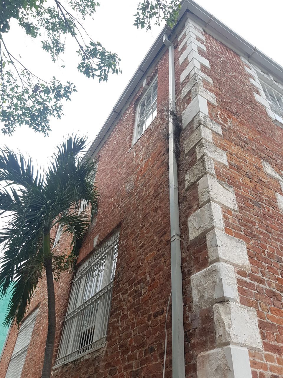 A corner of a brick building with a window and a vertical pipe.