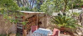 Pet-Friendly Studio for Two