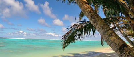 Beach nearby, sun loungers, beach towels